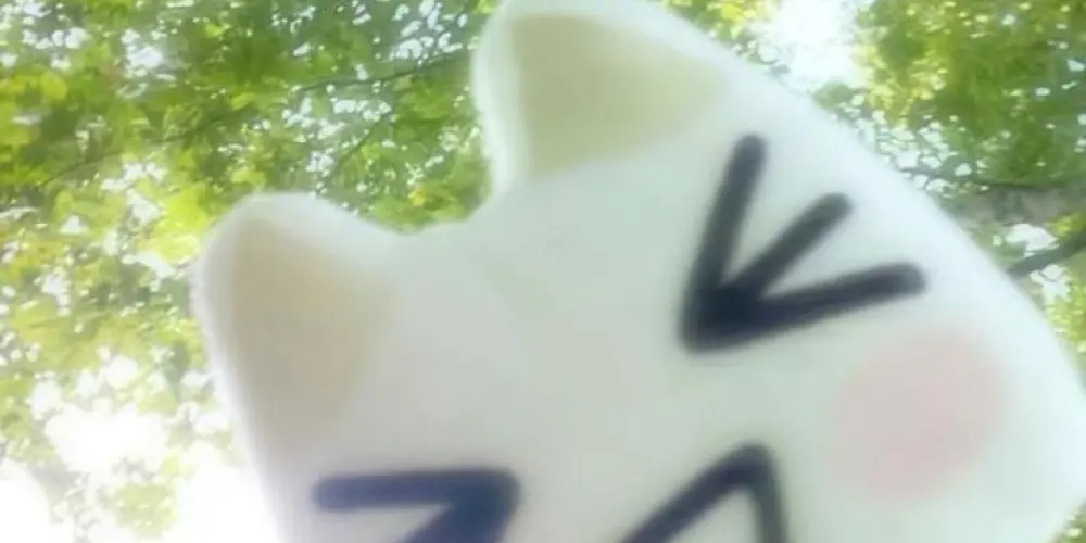 Imagem do grupo de WhatsApp 𝓞𝘯𝘭𝘺 𝘴𝘵𝘢𝘺 !! ✦ (⁎˃ᴗ˂⁎) ♥︎