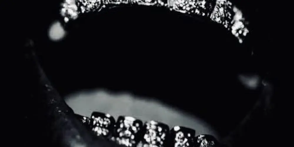 Imagem do grupo de WhatsApp 𝕯𝖊𝖙𝖗𝖔𝖎𝖙