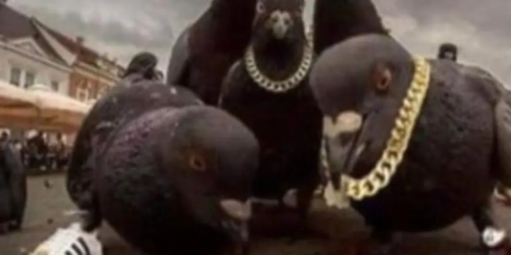 Imagem do grupo de WhatsApp 𝐎𝐬 𝐟𝐚𝐫𝐨𝐟𝐞𝐢𝐫𝐨𝐬