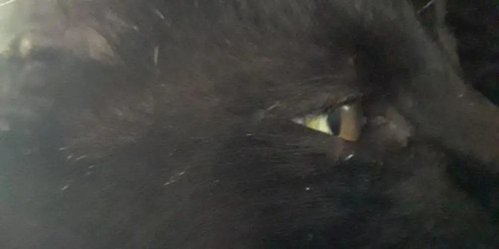 Imagem do grupo de WhatsApp 😵‍💫乇丂Ɋㄩ丨乙ㄖ千尺丨乇几ᗪ丂🧠