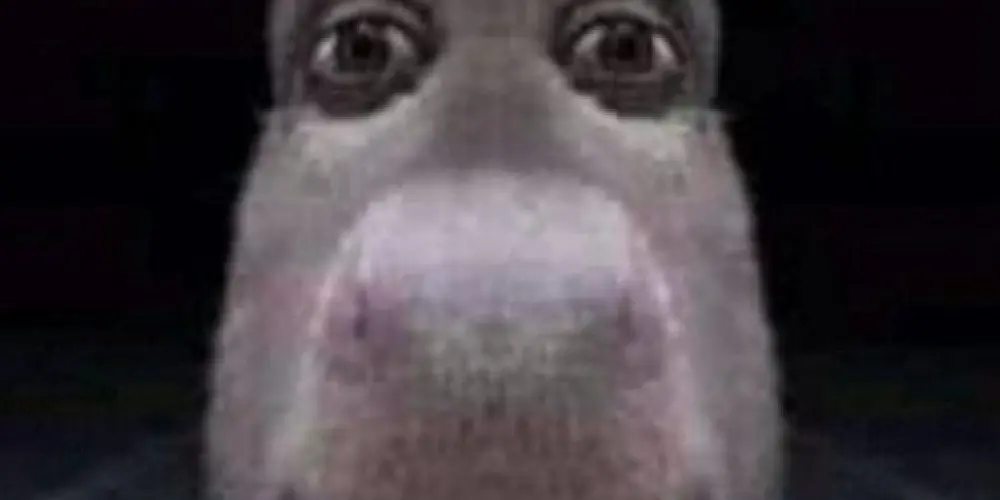 Imagem do grupo de WhatsApp 𝒄𝒉𝒂𝒕𝒛𝒊𝒏 𝒅𝒐 𝒔𝒕𝒂𝒏𝒊𝒄 ¿•?