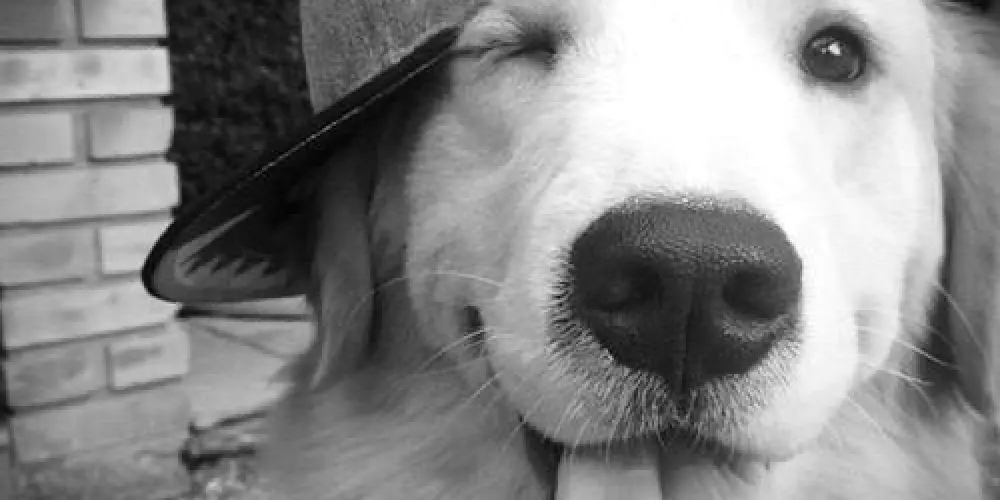 Imagem do grupo de WhatsApp 𝐹𝑖𝑙ℎ𝑜𝑡𝑒𝑠 𝑑𝑎 𝑎𝑜𝑘𝑖👻🖕