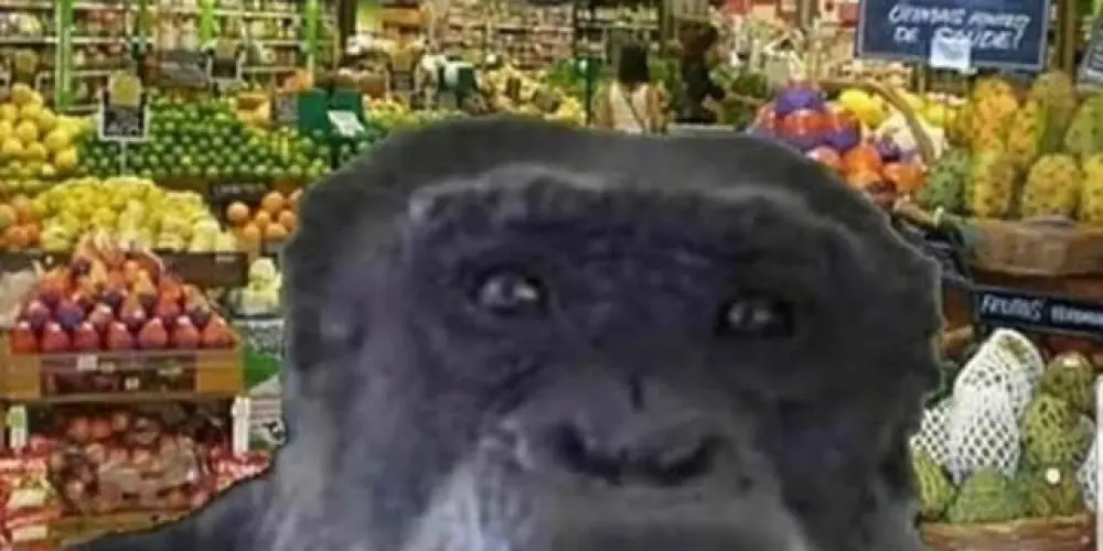 Imagem do grupo de WhatsApp 𝚊𝚖𝚎𝚛𝚒𝚌𝚊𝚗 𝚜𝚑𝚒𝚝𝚜