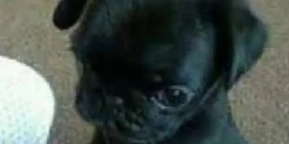 Imagem do grupo de WhatsApp 𝙵𝚊𝚕𝚒𝚍𝚘𝚜 𝚏𝚞𝚍𝚒𝚍𝚘𝚜 & 𝚞𝚗𝚒𝚍𝚘𝚜