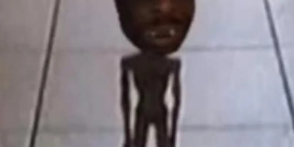 Imagem do grupo de WhatsApp ™ɢʀᴜᴘɪɴʜᴏ ᴅᴀ ᴍɪ́ᴅɪᴀ ◡̈.