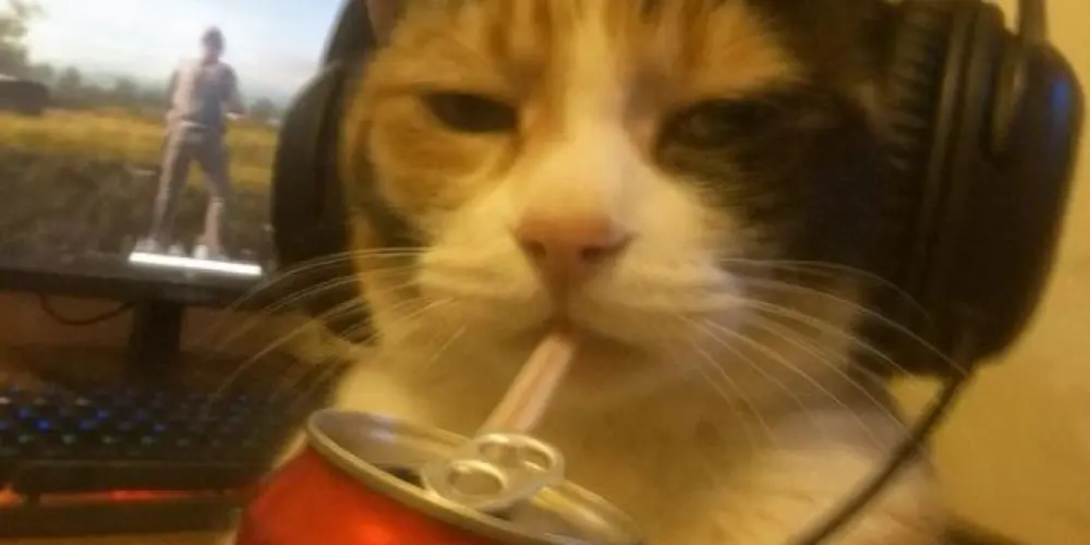 Imagem do grupo de WhatsApp ꧁ 𝙇𝙊𝙎 - 𝙈𝘼𝙍𝙏𝙄𝙉𝙄𝙉 ꧂