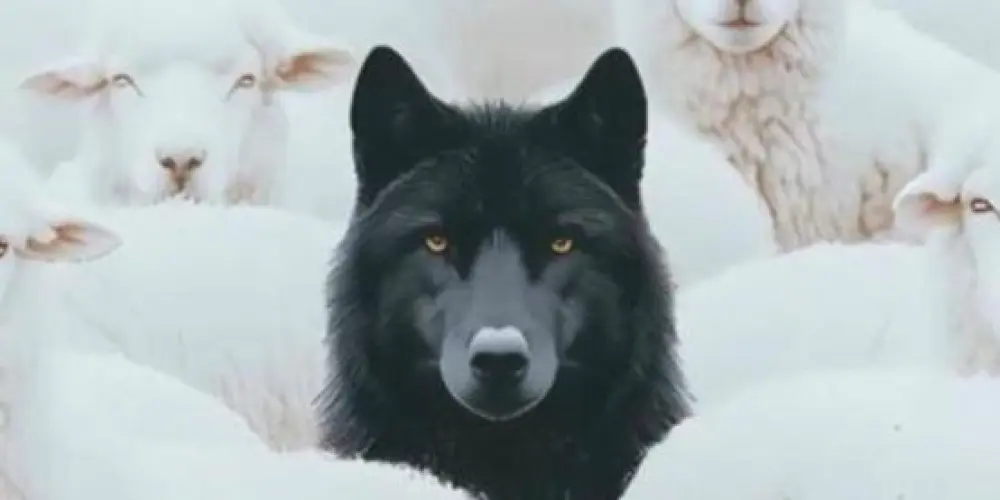 Imagem do grupo de WhatsApp 𝐀𝐋𝐅𝐇𝐀 𝐋𝐄𝐆𝐈𝐎𝐍 🔥🐺