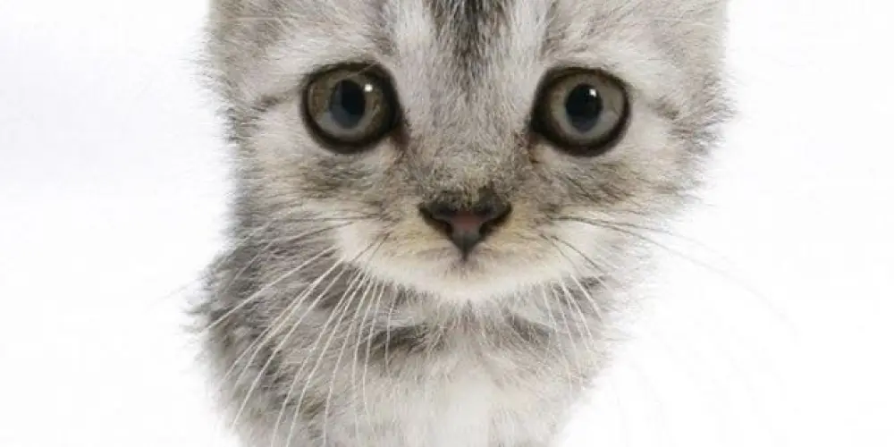 Imagem do grupo de WhatsApp 𐴲࣭֜			ʻ̢🫐̸̷̓˒		ؚ𝆹𝅥	࣪𝁽	࣭	ׂ	🄲͜͡🄷͜͡🄰͜͡🅃		᳝	ׂ🄳͜͡🄾	ׂ		࣭	ׂ🅂͜͡🄼͜͡🅁			꣑꣒