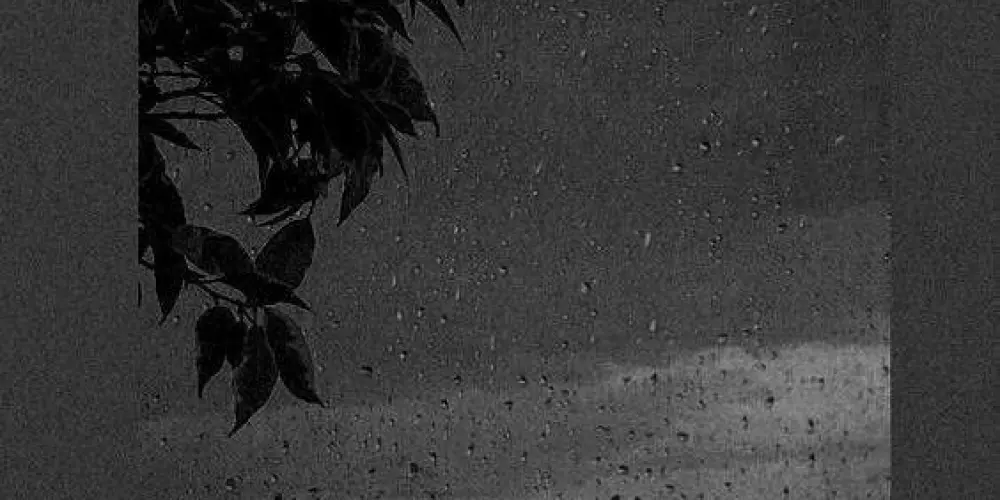 Imagem do grupo de WhatsApp ✧ 𝐋𝐚𝐭𝐞 𝐌𝐨𝐫𝐧𝐢𝐧𝐠 ✧