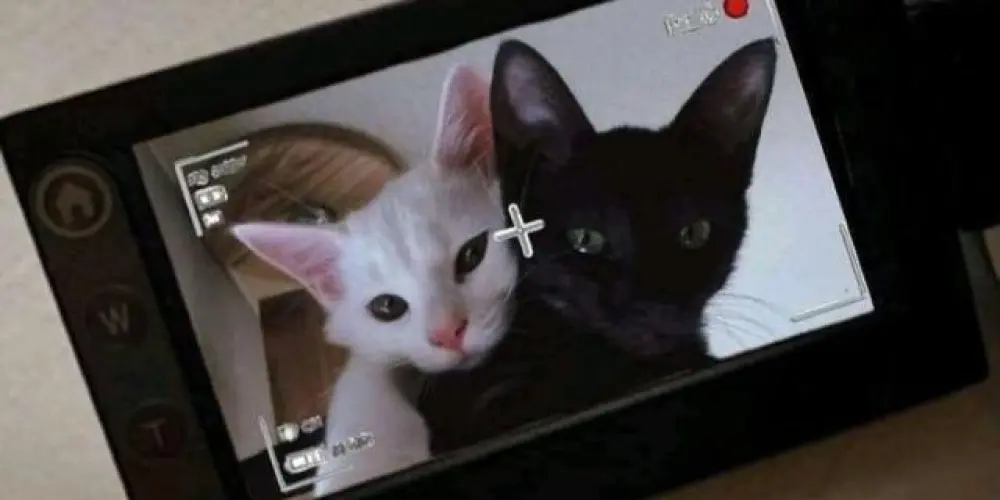 Imagem do grupo de WhatsApp 𝐒𖤝𝐍𝐍𝐄𝐑