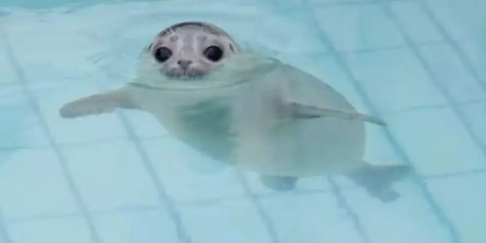 Imagem do grupo de WhatsApp 【  𝒏𝒐𝒃𝒐𝒅𝒚'𝒔 𝒍𝒂𝒏𝒅 ♛ 】