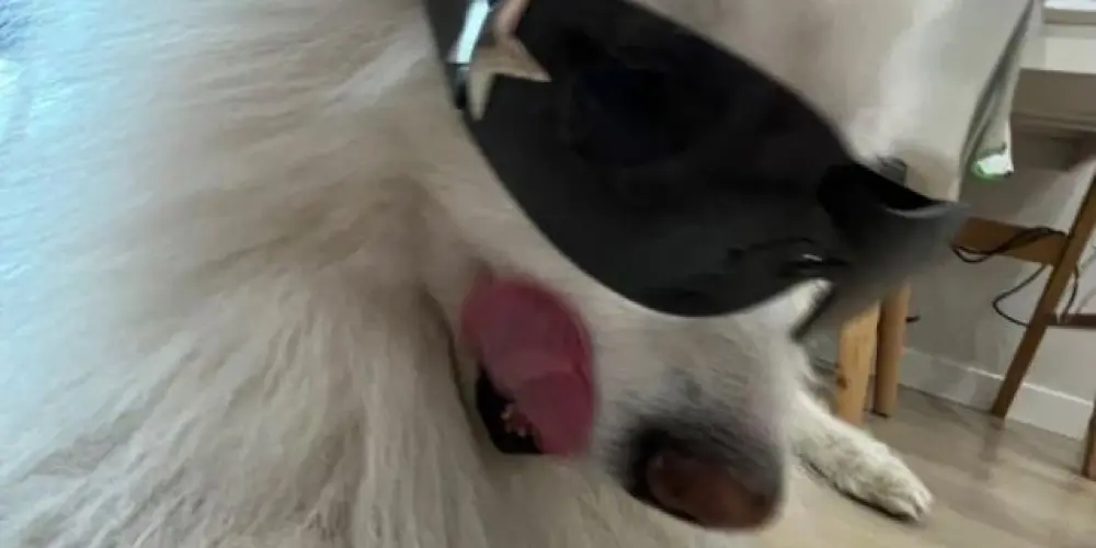 Imagem do grupo de WhatsApp 𝕲𝖎𝖗𝖑𝖘 𝖆𝖓𝖉 𝖇𝖔𝖞𝖘