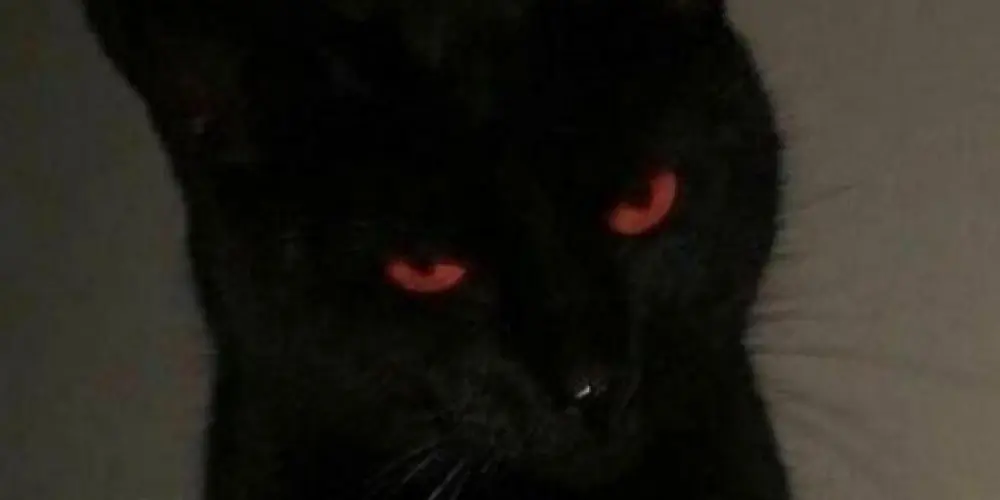 Imagem do grupo de WhatsApp 亗 𝕂𝕒𝕞𝕚𝕜𝕒𝕫𝕖 亗