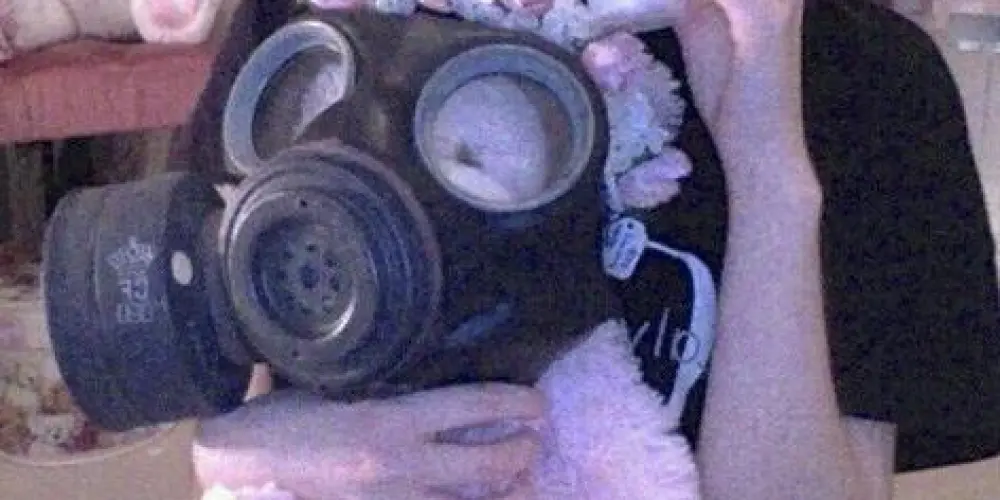 Imagem do grupo de WhatsApp ʳᵉˢᵉⁿʰᵃᯓ ᡣ𐭩