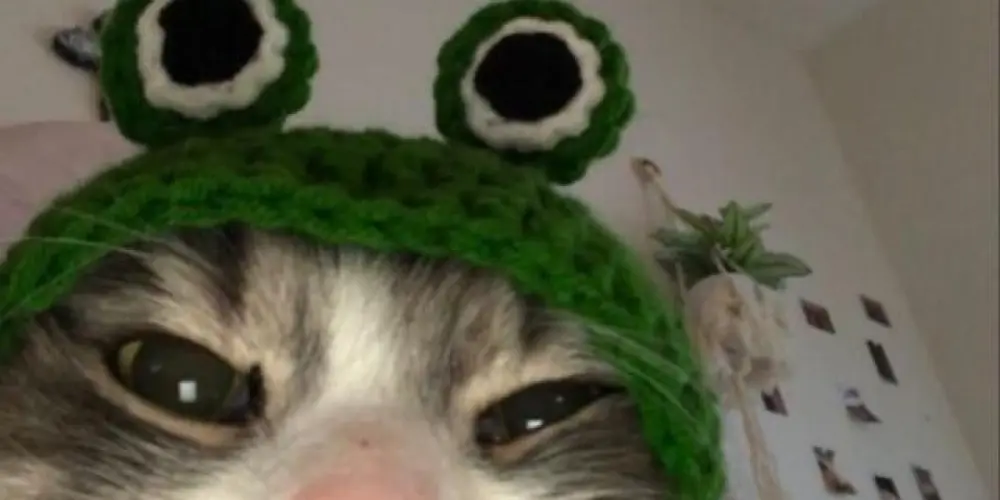 Imagem do grupo de WhatsApp 💫𝘼𝙢𝙞𝙯𝙖𝙙𝙚 𝙎𝙚𝙢 𝙇𝙞𝙢𝙞𝙩𝙚𝙨💥