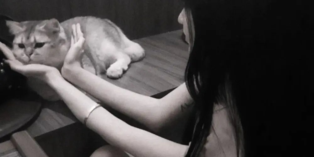 Imagem do grupo de WhatsApp 🔞𝕮𝖍𝖆𝖙 𝖉𝖆 𝖑𝖆𝖞⁉️