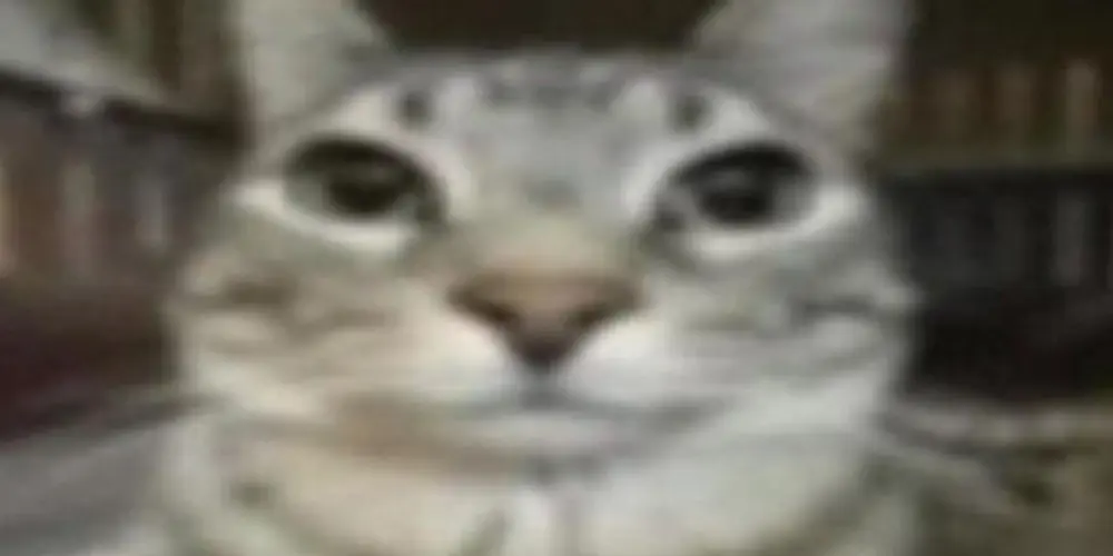 Imagem do grupo de WhatsApp ⏤͟͟͞͞🇯🇵⃟🪽𝐸𝑙 𝐹𝐴𝑀𝐼𝐿𝐼𝐴 𝑍𝐾 🇯🇵⃟📿