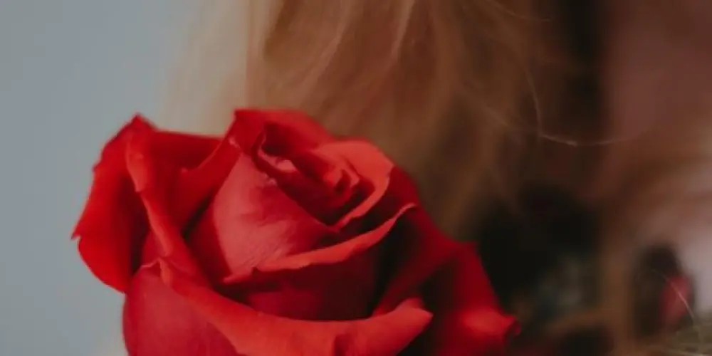 Imagem do grupo de WhatsApp 𝐈𝐍𝐒𝐀𝐍𝐎 𝐅𝐋𝐎𝐖𝐄𝐑𝐒🌹"