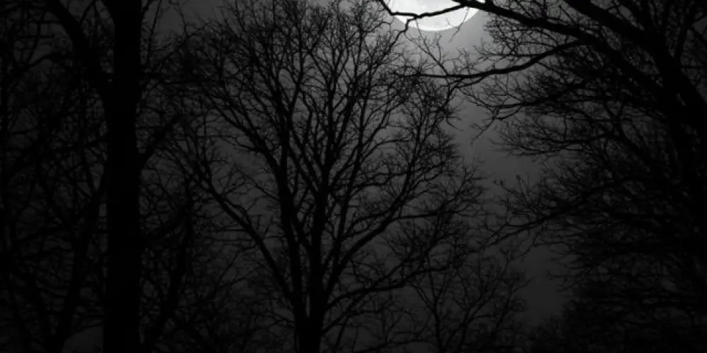 Imagem do grupo de WhatsApp 𝐷𝐴𝑅𝐾 𝐸𝑁𝐸𝑀𝐼𝐸𝑆 👑✨