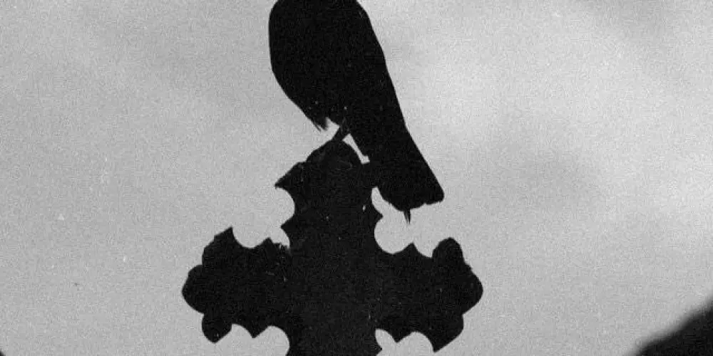 Imagem do grupo de WhatsApp •𝑉𝑎𝑛𝑑ℎ𝑒𝑟𝐿𝑎𝑖𝑑𝑠•