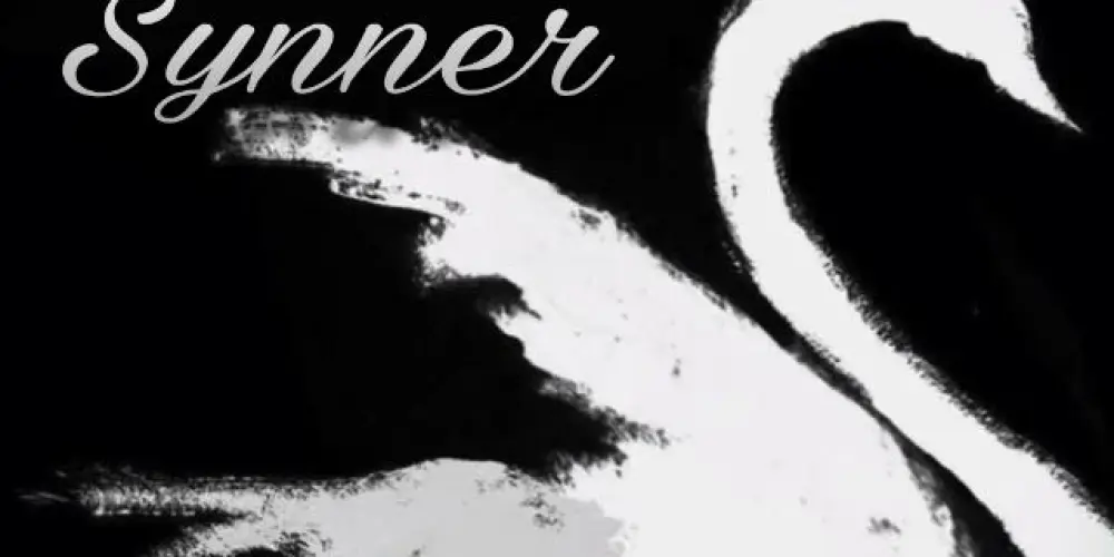 Imagem do grupo de WhatsApp 𝐒𖤝𝐍𝐍𝐄𝐑