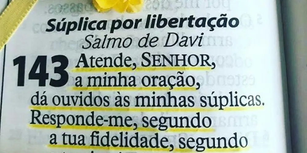 Imagem do grupo de WhatsApp 🌷𝑫𝒊𝒂́𝒓𝒊𝒐 𝒆𝒔𝒑𝒊𝒓𝒊𝒕𝒖𝒂𝒍 - 𝑺𝒆𝒎𝒂𝒏𝒂𝒍🌷