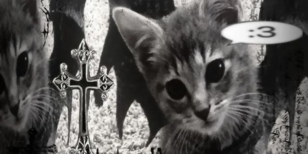 Imagem do grupo de WhatsApp 𝐂𝐇𝐀𝐓 𝐃𝐀 𝐊. 💋