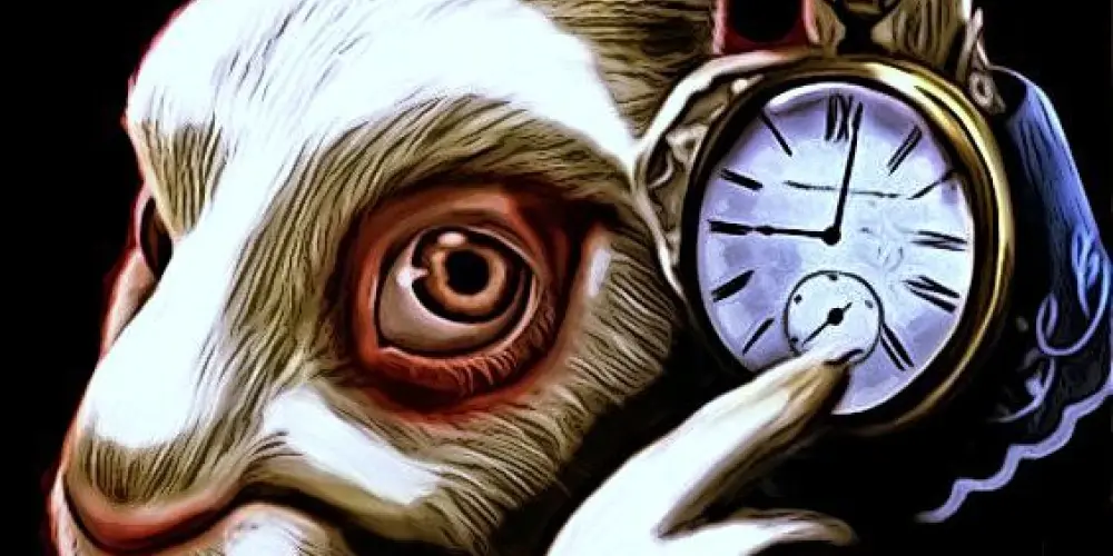 Imagem do grupo de WhatsApp 𝕌𝕟𝕚𝕧𝕖𝕣𝕤𝕠 ℜ𝔞𝔫𝔡𝔬𝔫