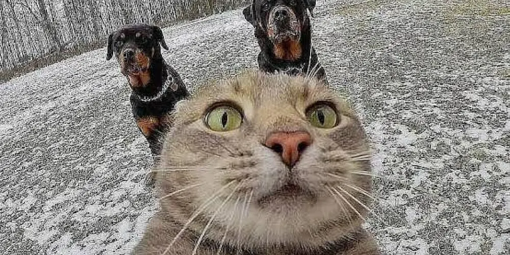 Imagem do grupo de WhatsApp 𝐓𝐫𝐨𝐩𝐚 𝐝𝐨𝐬 𝐭𝐫𝐨𝐦𝐛𝐚𝐝𝐢𝐧𝐡𝐨𝐬 (𝐚𝐬) 😏😈