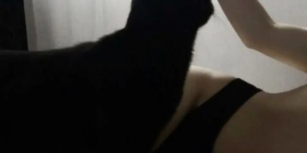 Imagem do grupo de WhatsApp 😈𝑨𝑴𝑰𝒁𝑨𝑫𝑬𝑺 𝑬 𝑵𝑨𝑴𝑶𝑹𝑶😈