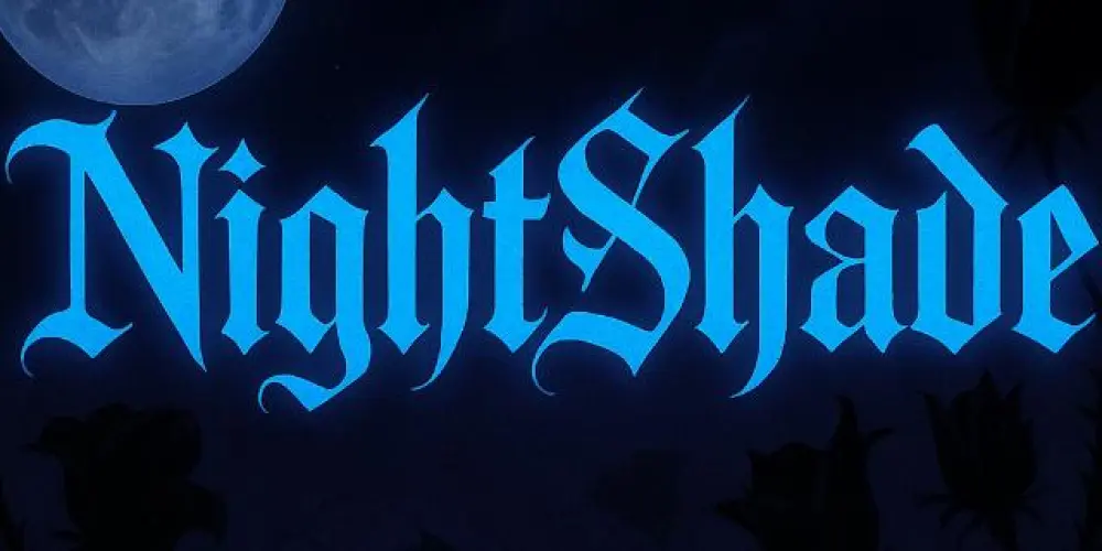 Imagem do grupo de WhatsApp 𝕹𝖎𝖌𝖍𝖙𝕾𝖍𝖆𝖉𝖊🌑