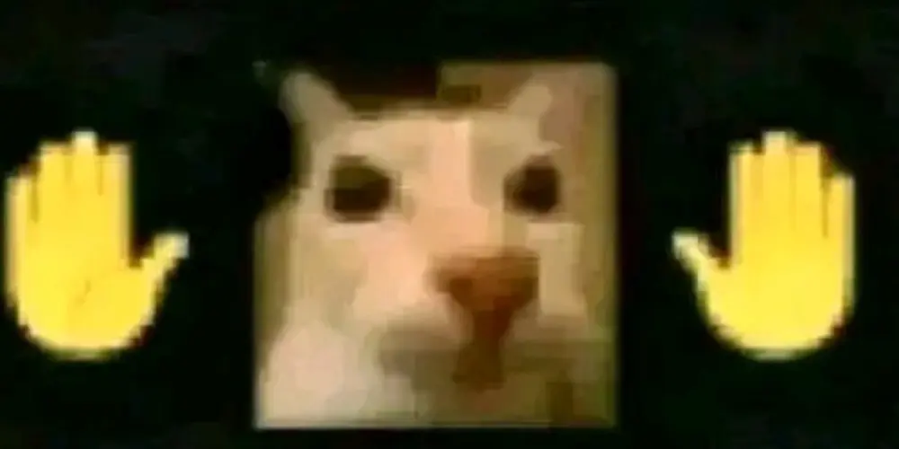 Imagem do grupo de WhatsApp 『ⒶⓁⓄⓃⒺ』