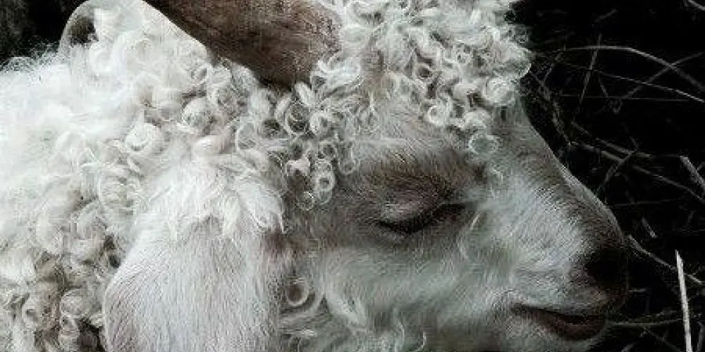 Imagem do grupo de WhatsApp 𝑬𝒙𝒄𝒍𝒖𝒔𝒐𝒔 🌪