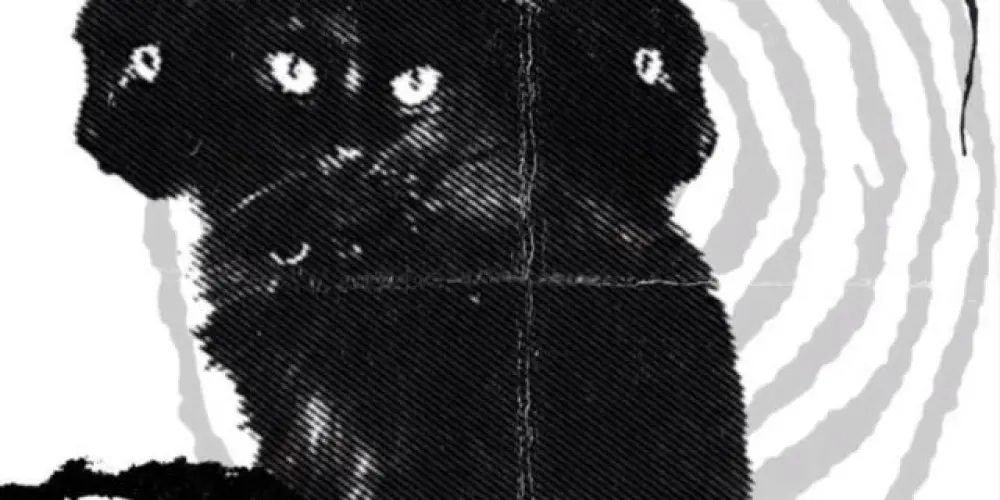 Imagem do grupo de WhatsApp 𝕹𝖔𝖎𝖙𝖊𝖘 𝖊𝖙𝖊𝖗𝖓𝖆𝖘