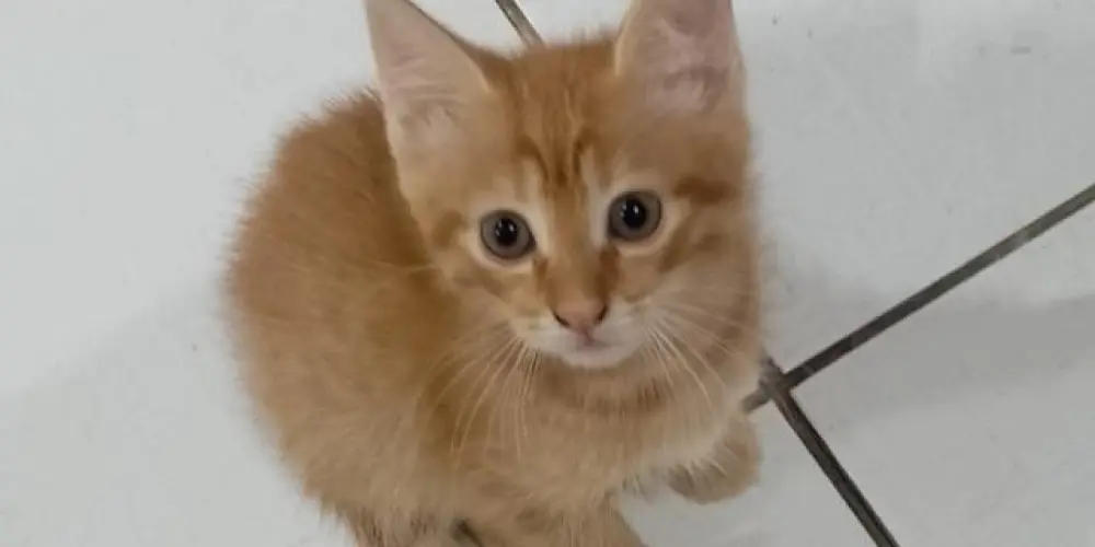 Imagem do grupo de WhatsApp 🌐☀️𓂃 ＡＣＥＲＯＬＡ  ＣＨＡＴ 𓂃☀️🌐