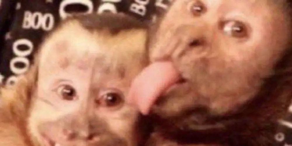 Imagem do grupo de WhatsApp 𝙵𝙸𝙶𝚄𝚁𝙸𝙽𝙷𝙰𝚂 𝙴 𝙱𝙰𝚃𝙴 𝙿𝙰𝙿𝙾