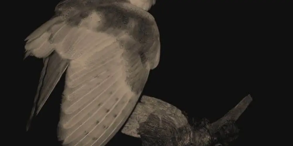 Imagem do grupo de WhatsApp 𝕮𝖍𝖆𝖙 𝖉𝖆 𝖆𝖞𝖑𝖎𝖓𝖟𝖎𝖓𝖍𝖆