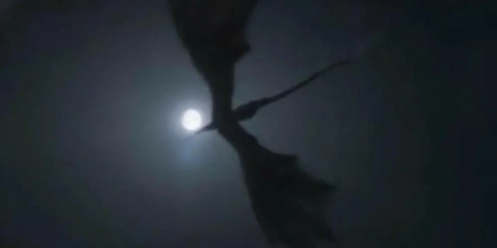 Imagem do grupo de WhatsApp 𝐓𝐚𝐥𝐤 𝟎𝟏 ' 🐉