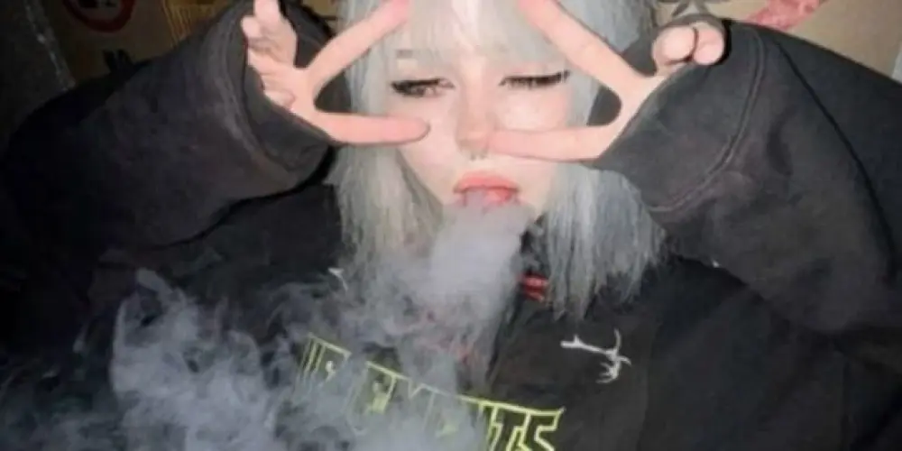 Imagem do grupo de WhatsApp ꧁༺ 𝐎𝐬 𝐏𝐚𝐫𝐚𝐧𝐨́𝐢𝐜𝐨𝐬 𝐝𝐨 𝐙𝐨𝐝𝐢́𝐚𝐜𝐨 ༻꧂