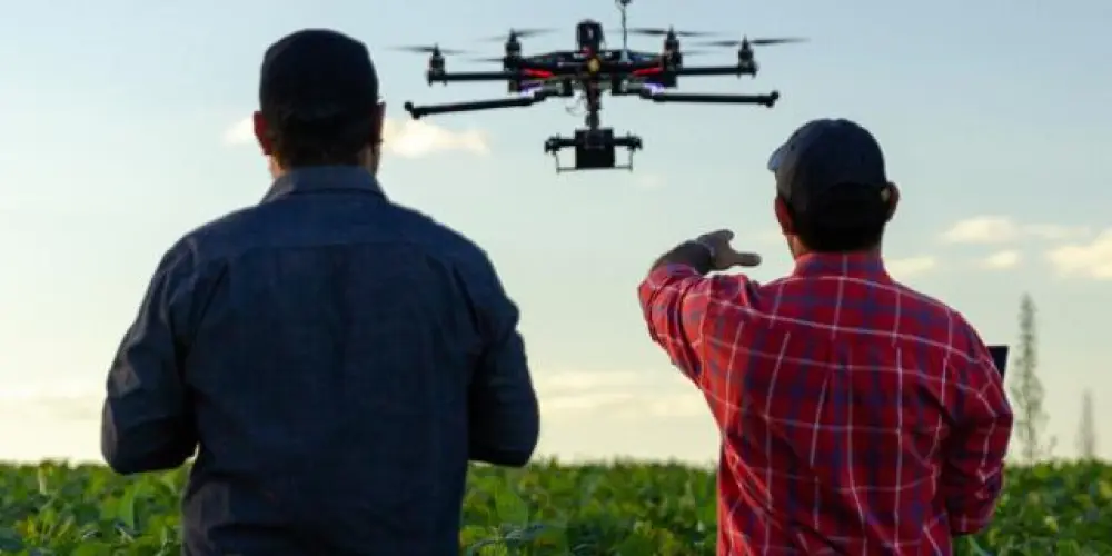 Imagem do grupo de WhatsApp 𝙋𝙞𝙡𝙤𝙩𝙤𝙨 (𝘿𝙧𝙤𝙣𝙚)