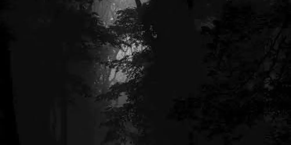 Imagem do grupo de WhatsApp 𝖁𝖆𝖑𝖊𝖗𝖎𝖎𝖚𝖘