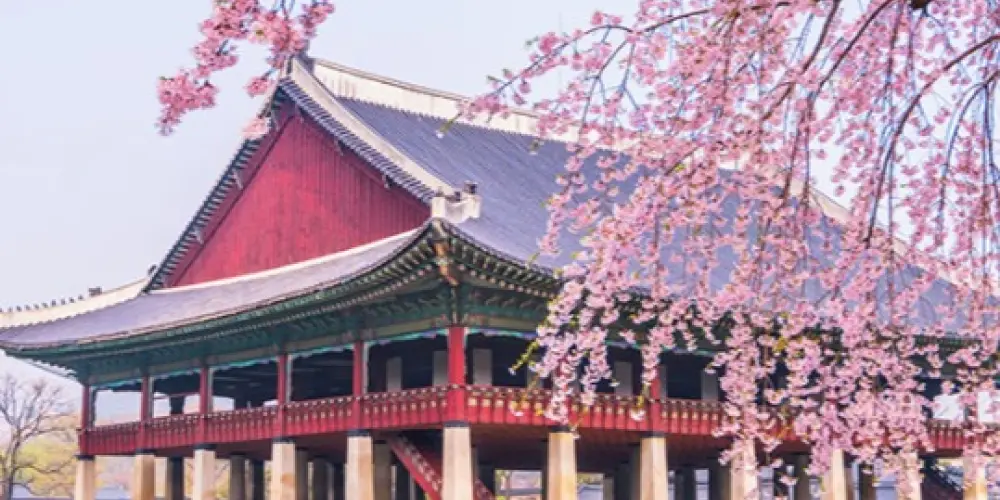 Imagem do grupo de WhatsApp 🇰🇷 ᴀᴘʀᴇɴᴅᴇɴᴅᴏ ᴄᴏʀᴇᴀɴᴏ 📚