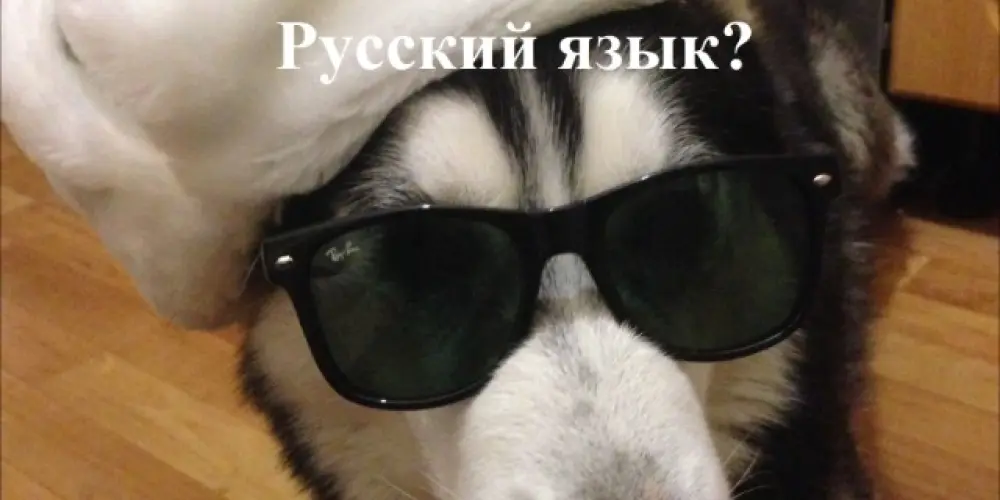 Imagem do grupo de WhatsApp 🇷🇺 ᴀᴘʀᴇɴᴅᴇɴᴅᴏ ʀᴜꜱꜱᴏ 📚