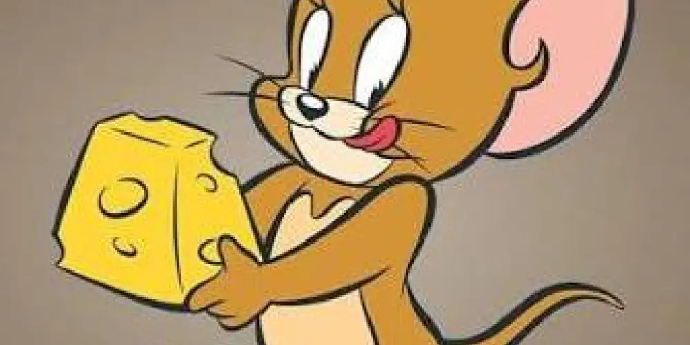 Imagem do grupo de WhatsApp ᶜᴴᴬᵀ ᴶᴱᴿᴿʸᶻᴵᴺᴴᴼ