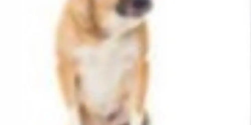 Imagem do grupo de WhatsApp 𝕺𝖘 𝖑𝖔𝖐𝖊 ╋━