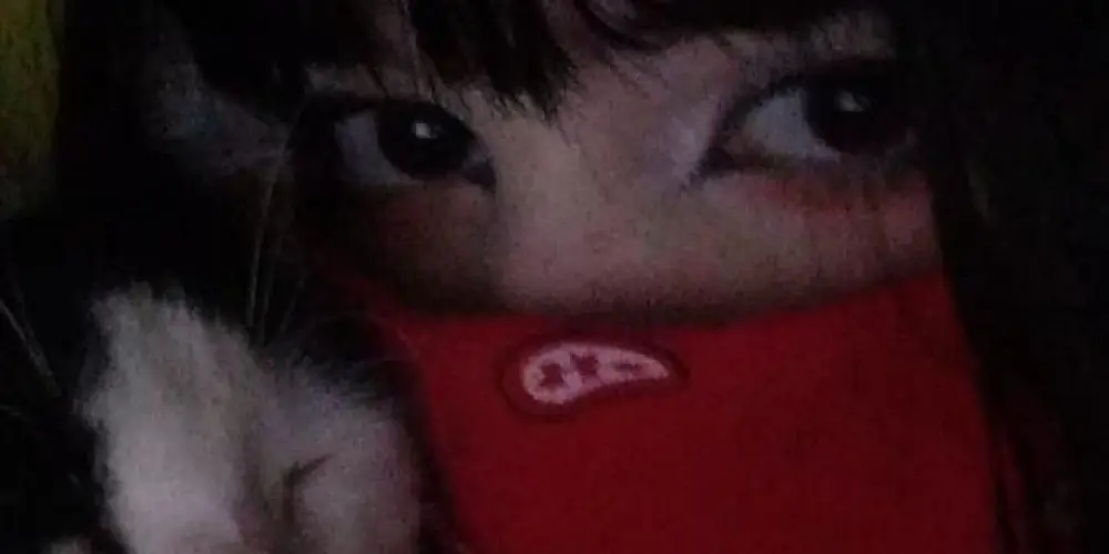 Imagem do grupo de WhatsApp ꧁ᴍɪᴅɴɪɢʜᴛ ᴄᴇɴᴛᴇʀ꧂