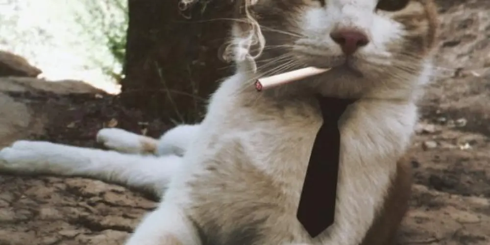 Imagem do grupo de WhatsApp ❐͜͡ 𝐓𝐑𝐎𝐏∆ 𝐃𝟑 𝐂𝐋𝐀§§𝐄🍷⃟༒