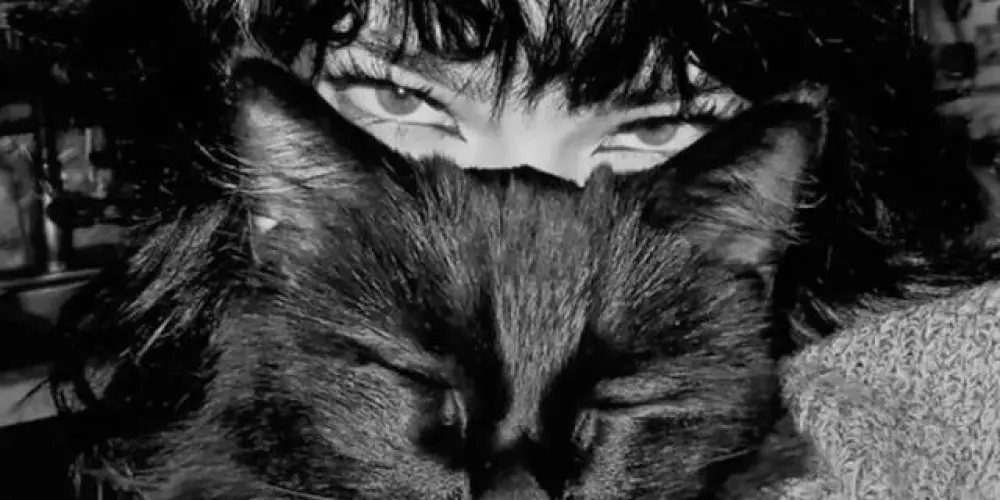 Imagem do grupo de WhatsApp ✧ 𝒫𝒶𝓈𝓈𝒶𝑔𝑒𝓂 𝓅𝒶𝓇𝒶 𝑜 𝒞𝒶𝑜𝓈 ✧