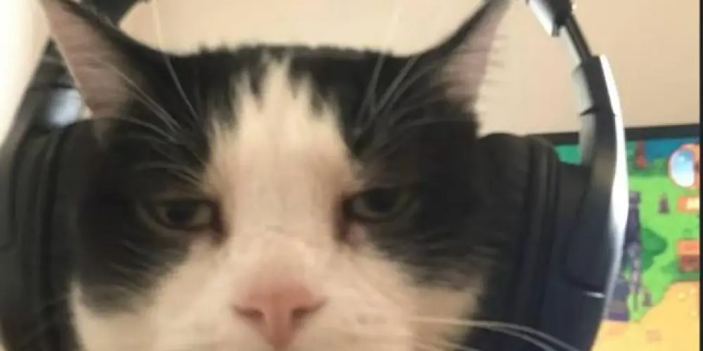 Imagem do grupo de WhatsApp 𝐴𝑚𝑖𝑧𝑎𝑑𝑒𝑠 𝑑𝑒 𝑚𝑒𝑛𝑜𝑟𝑒𝑠