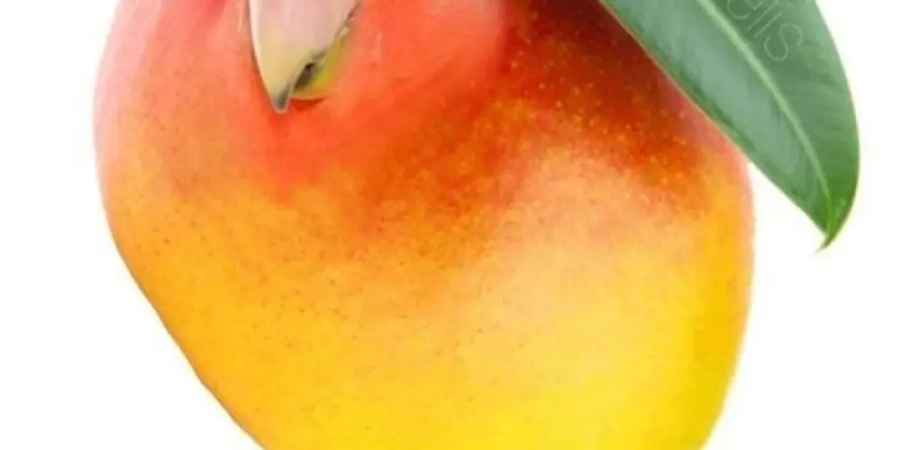 Imagem do grupo de WhatsApp 𝕺𝖈𝖚𝖑𝖙𝖎𝖘𝖒𝖔 𝕯𝕿𝕾 🙏🏻